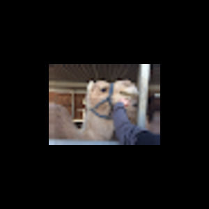 Meet your Posher, Ines